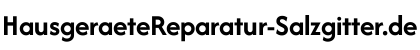Hausgeräte Reparatur Salzgitter